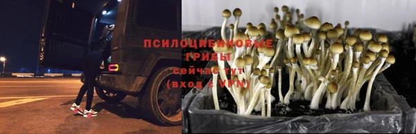 мефедрон мука Богородск